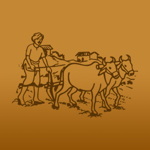 top_logo