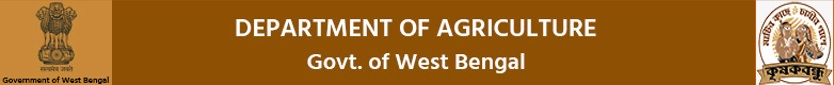 top_logo
